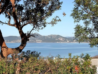 Location saisonniere de vacances appartement HYERES